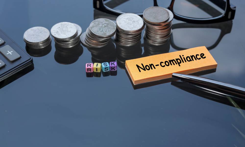 The Hidden Costs of Non-Compliance in the Customs Duties Sector