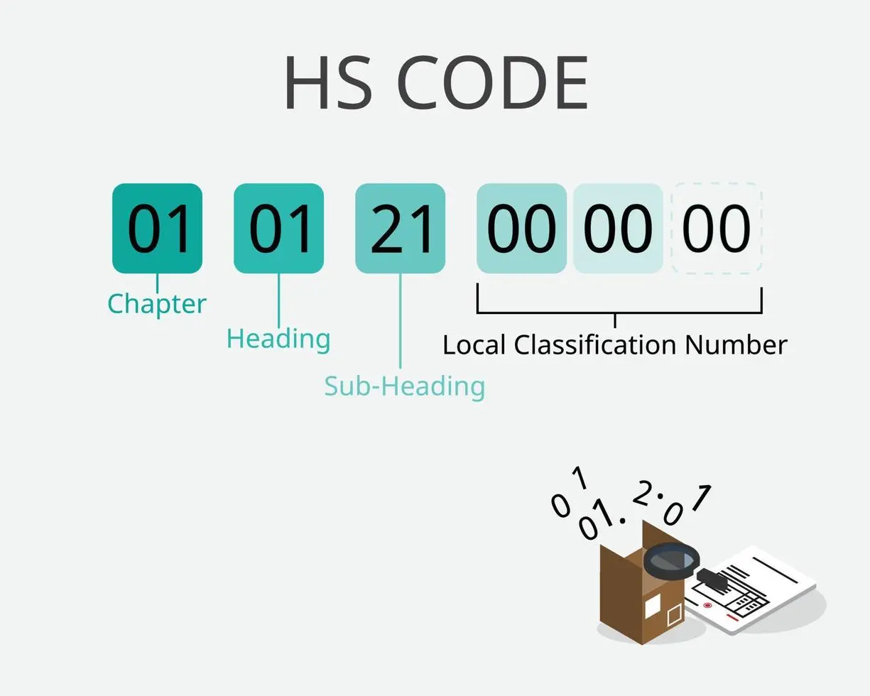 HS Codes Demystified: A Quick Guide from a Seasoned CEO